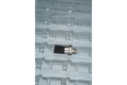 Transparent disposable tray